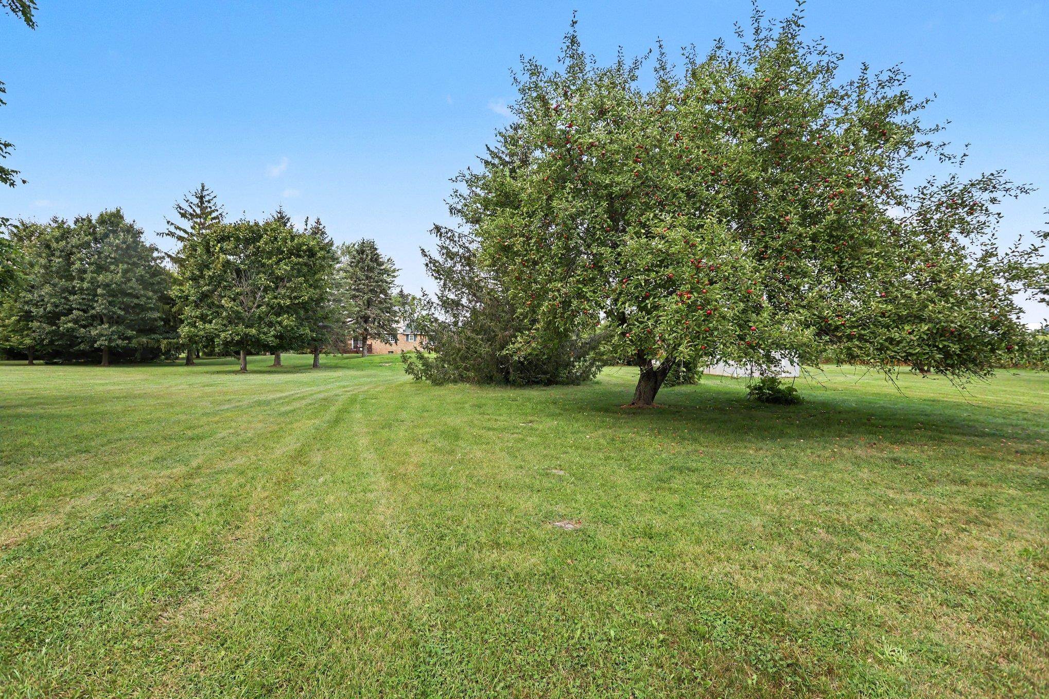3979 Townline Road