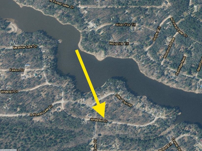 Whitetail Drive