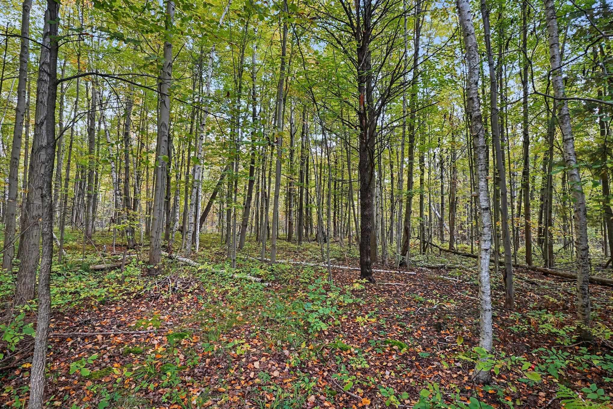 3416 N Sturgeon Road