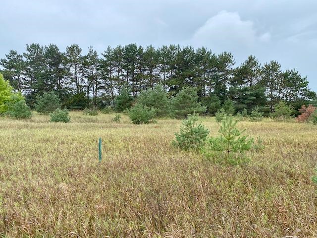 7650 Bay Meadow Drive