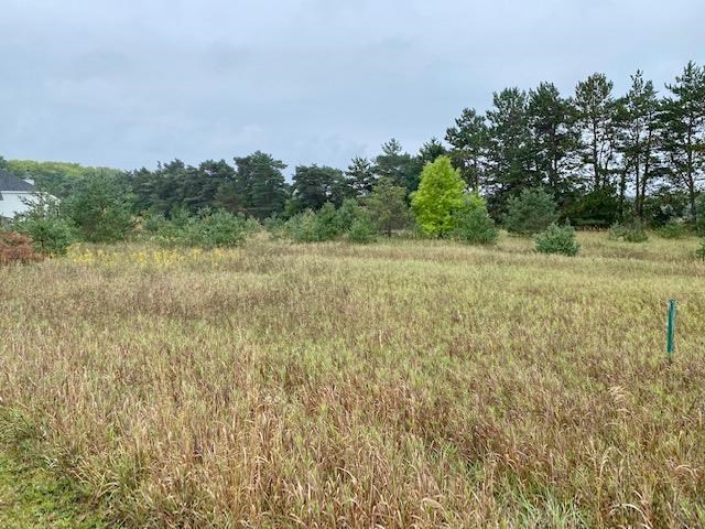 7650 Bay Meadow Drive