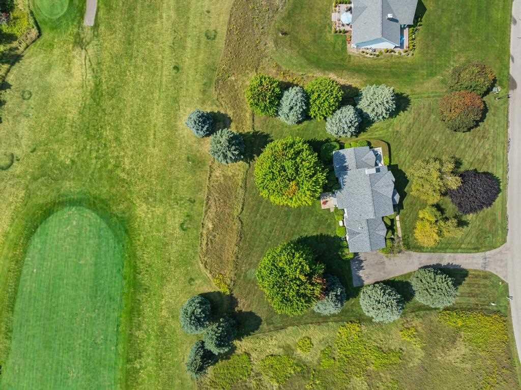 160 Crooked Tree