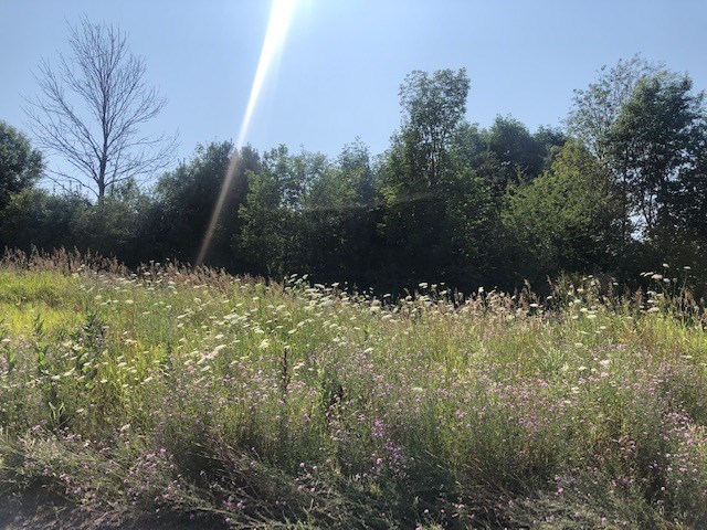 802 Maple Creek Boulevard Unit: 11