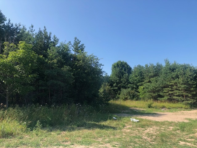 860 Red Oak Way Unit: 12