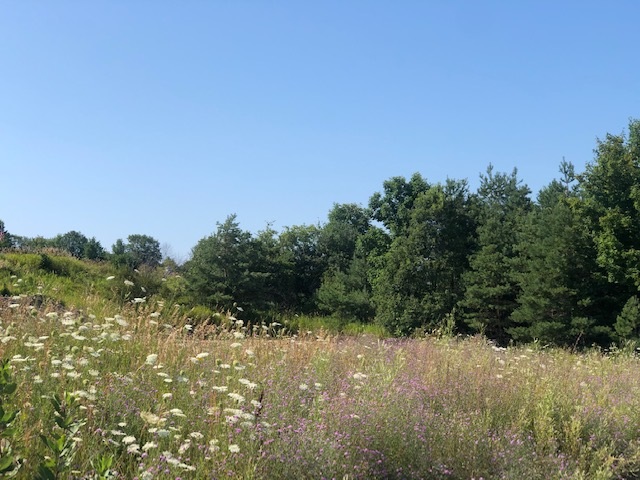 860 Red Oak Way Unit: 12