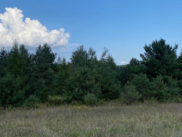 264 Harbor View Lane