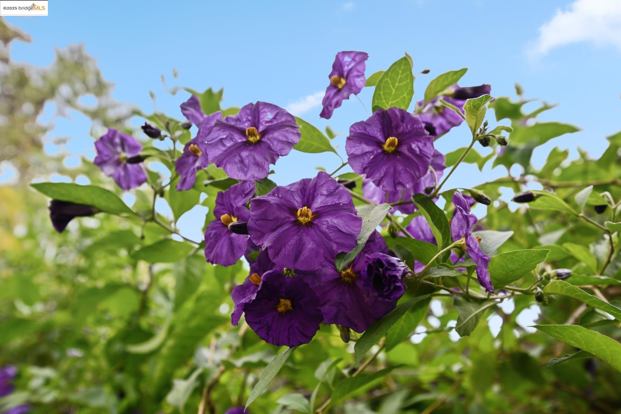 2918 Modesto Ave, Oakland