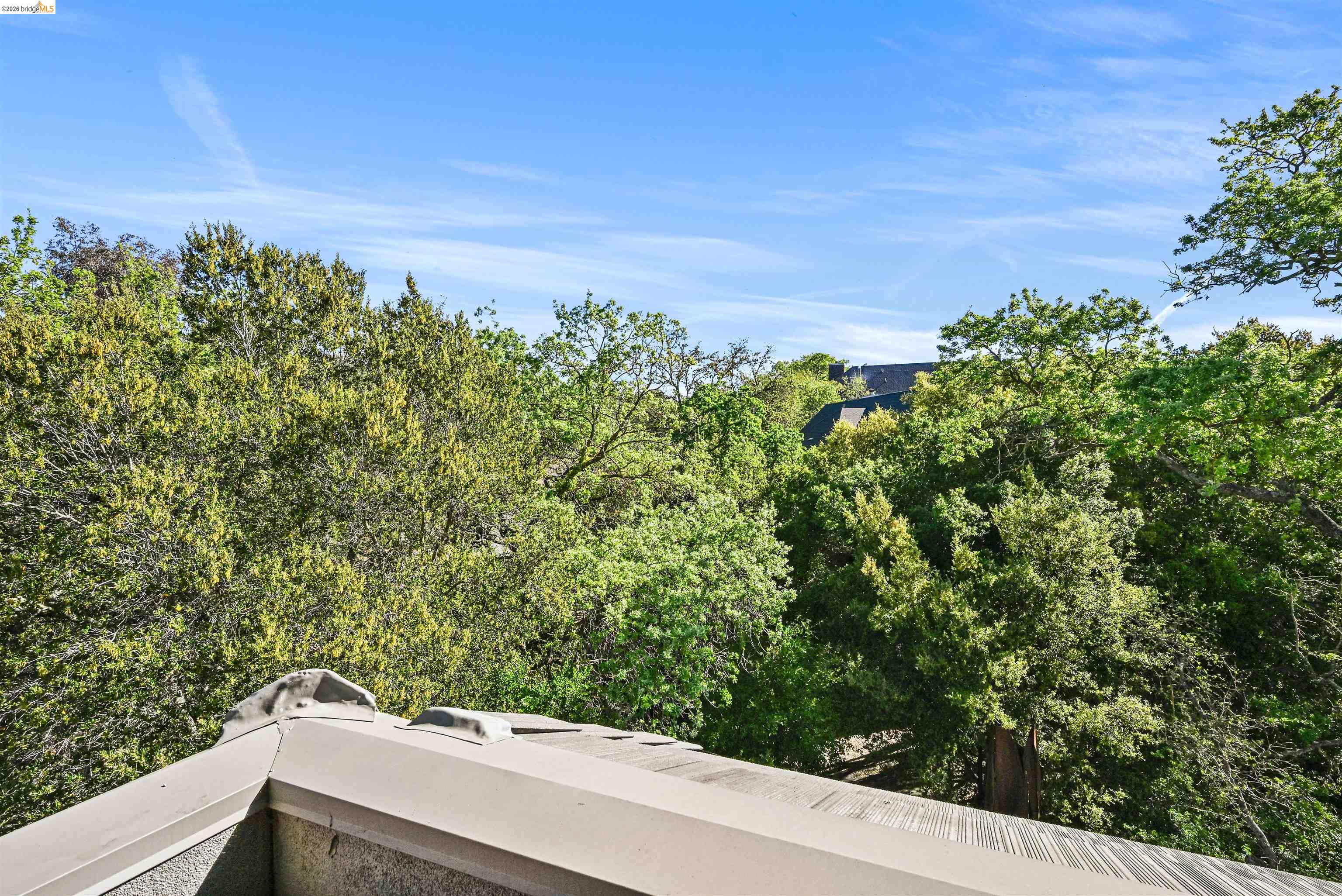 1000 Dewing Ave # 409