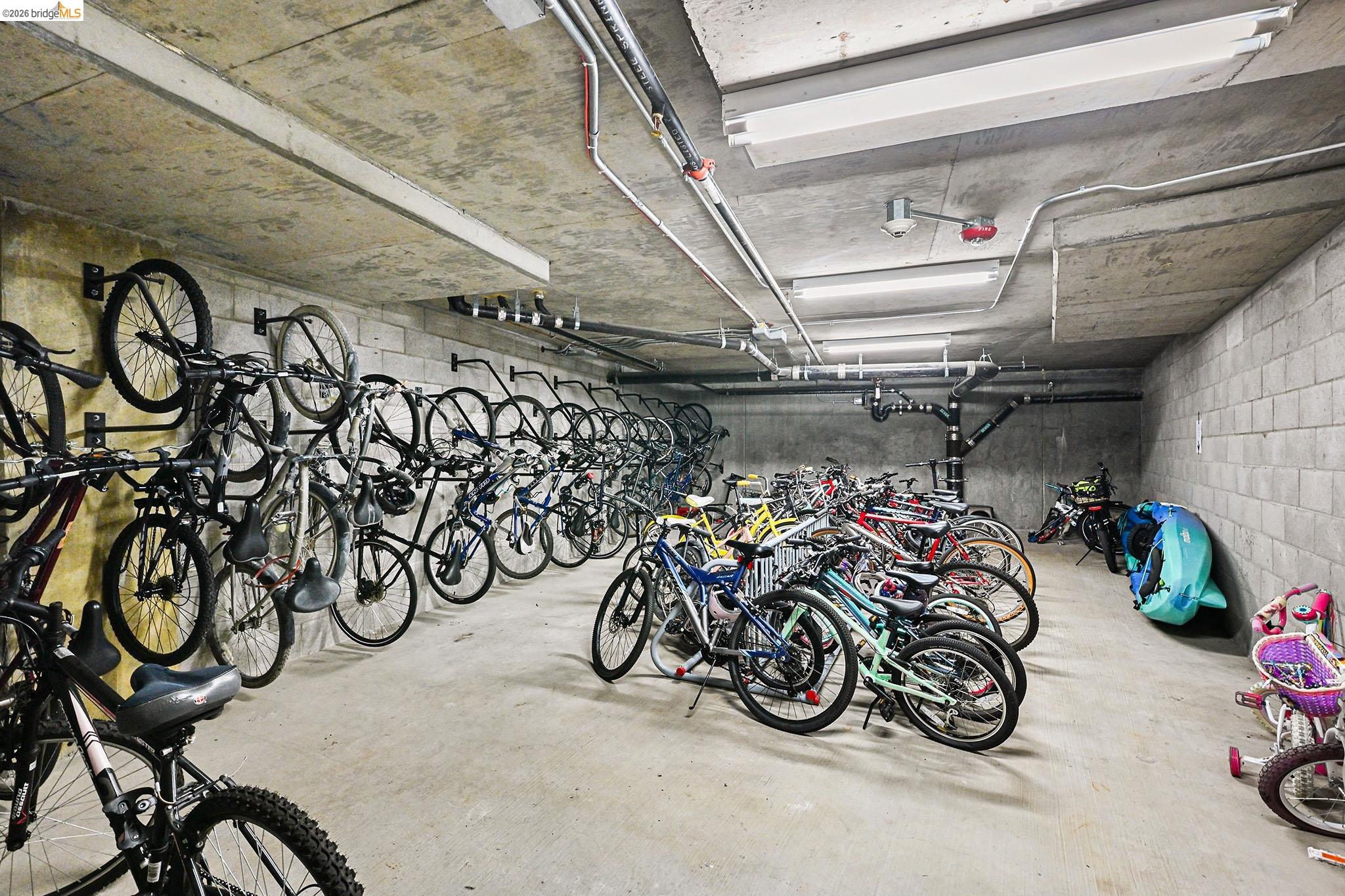 1000 Dewing Ave # 409