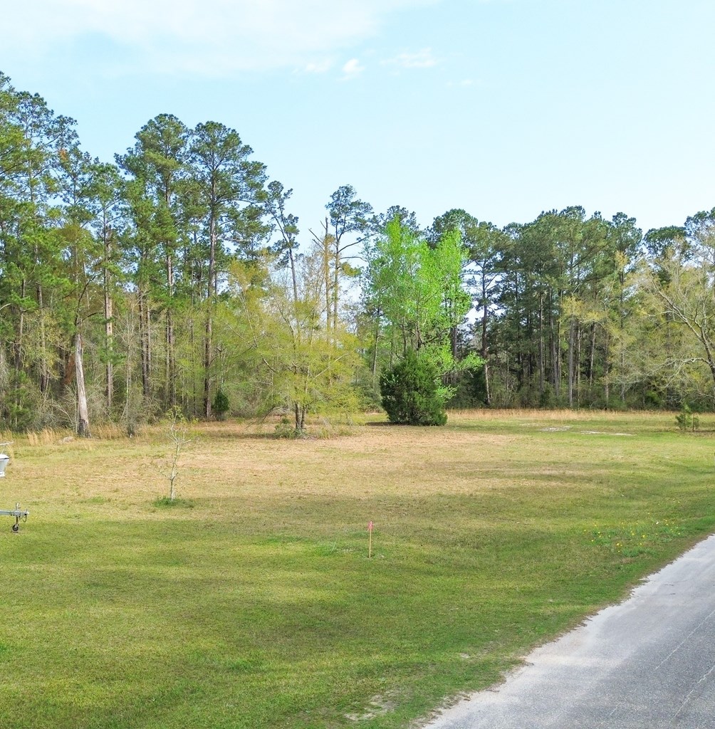 TBD Stanley Dr, 32465