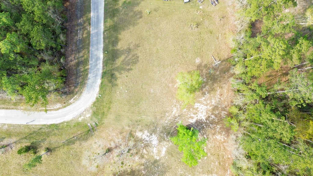 TBD Stanley Dr, 32465