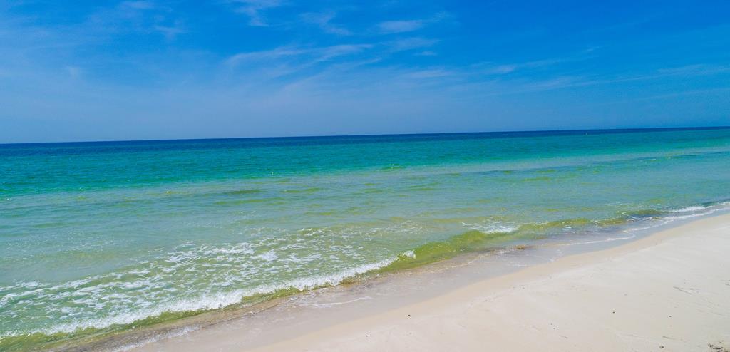 4414 Cape San Blas Rd