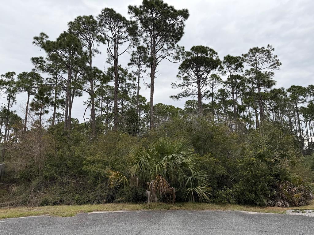 LOT 9 Sea Haven Dr, Port St. Joe 32456