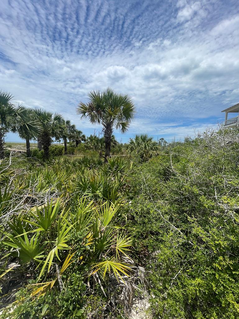 103 Tower Ln, Port St. Joe 32456