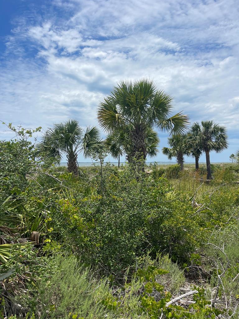 103 Tower Ln, Port St. Joe 32456