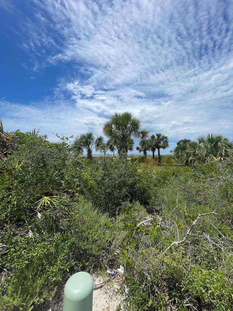 103 Tower Ln, Port St. Joe 32456
