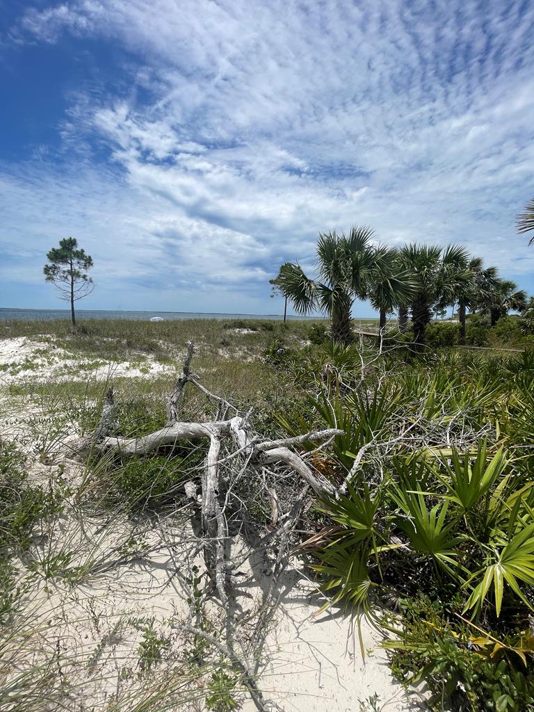 103 Tower Ln, Port St. Joe 32456