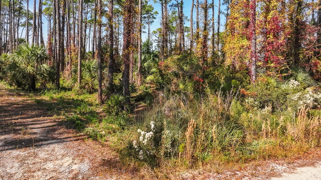 10 Eventide Dr, 32456