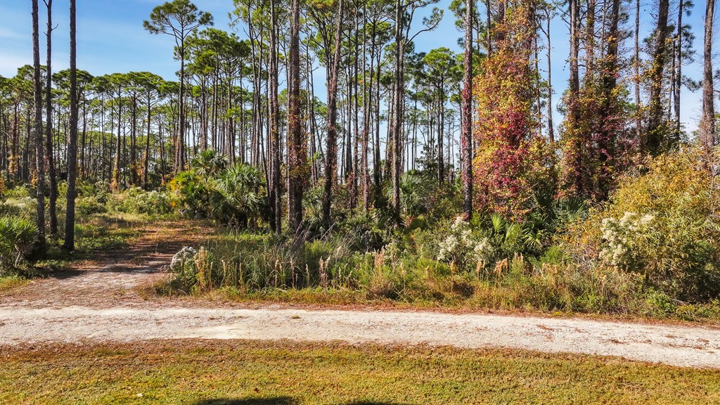 10 Eventide Dr, 32456