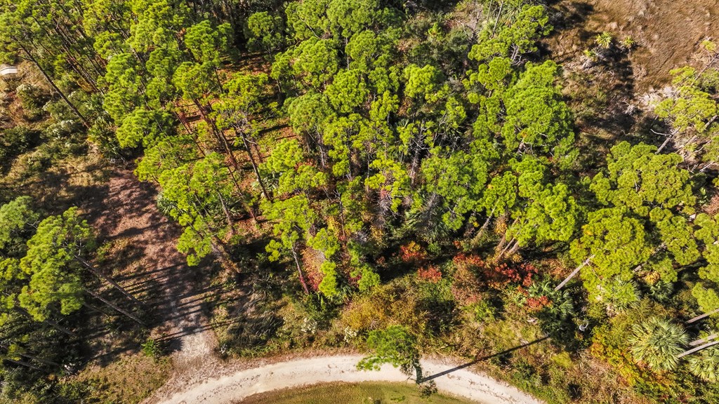 10 Eventide Dr, 32456