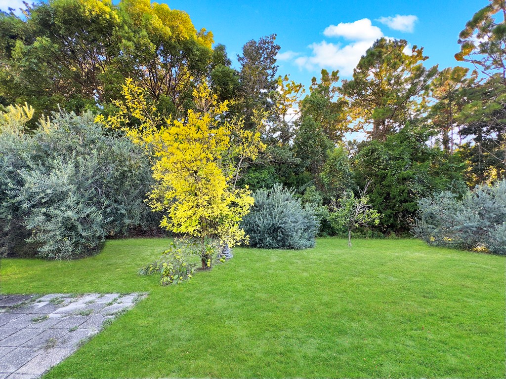 110 Bridgeport Ln, Port St. Joe 32456