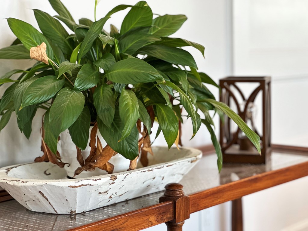 102 Signal Ln, Port St. Joe 32456