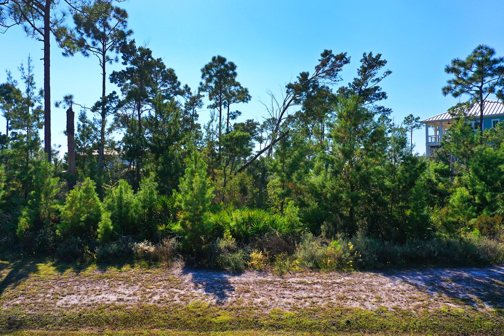 Lot 46 S Brooks Ave, Port St. Joe 32456
