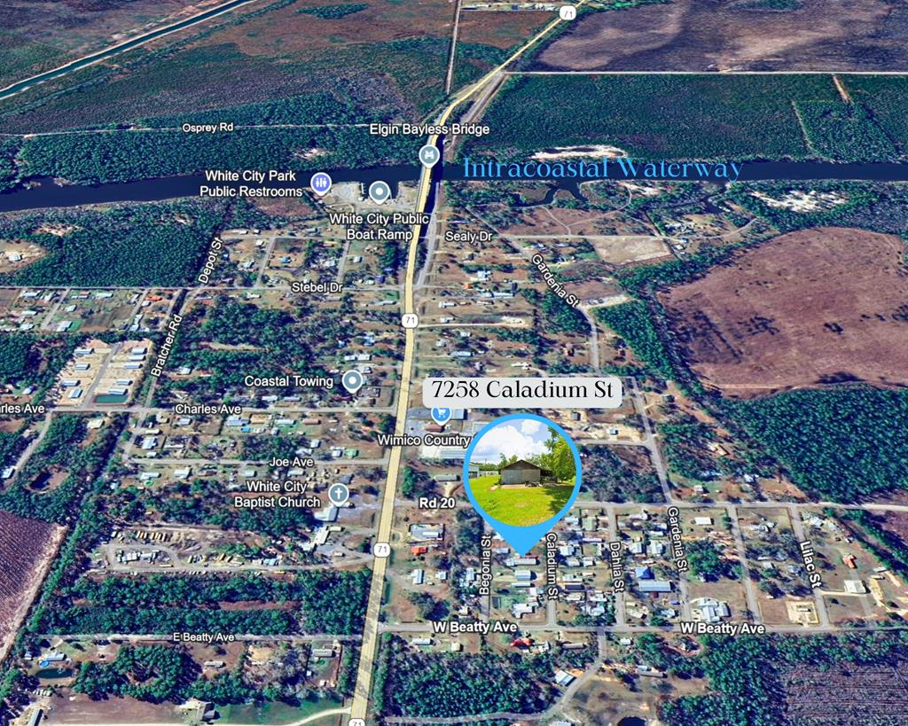 7258 Caladium St, 32465