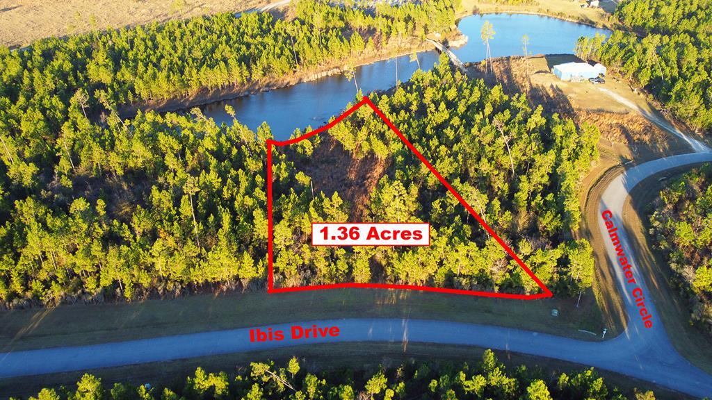 Lot 157 Ibis Dr., 32465