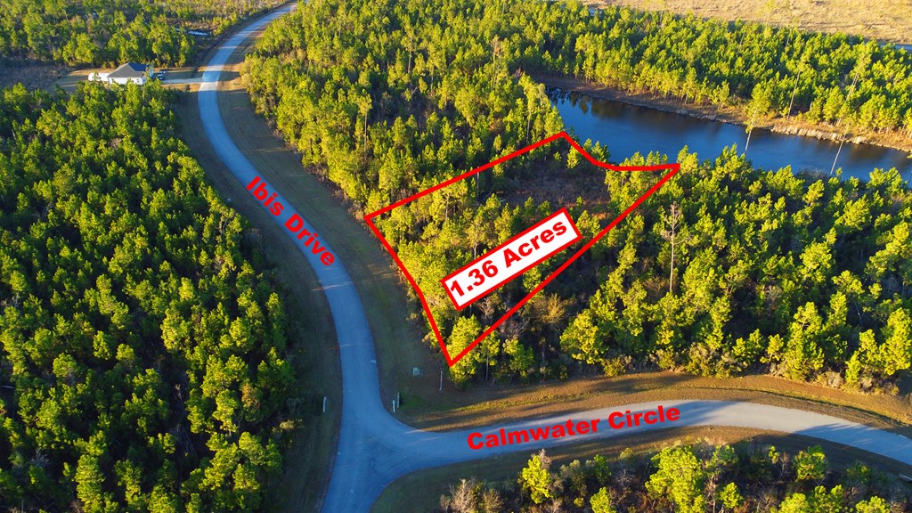 Lot 157 Ibis Dr., 32465