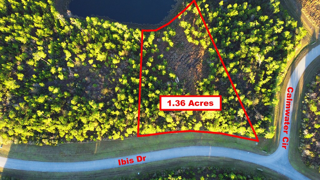 Lot 157 Ibis Dr., 32465
