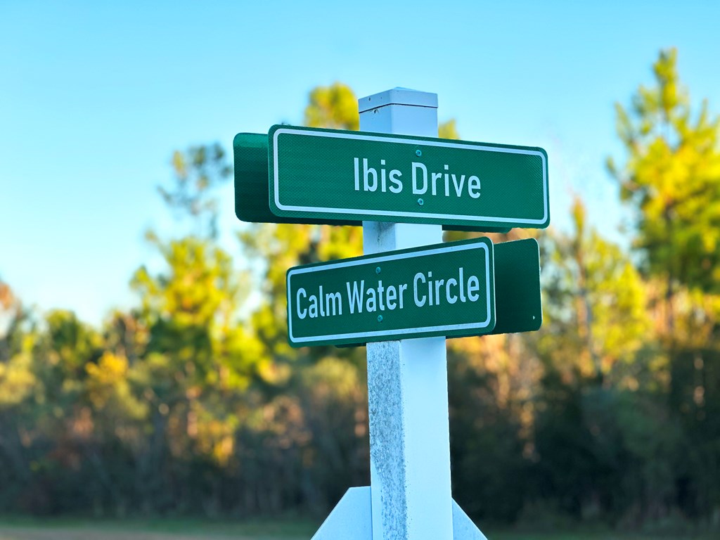 Lot 157 Ibis Dr., 32465