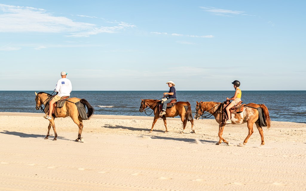 Lot 34 Plover Dr, 32456