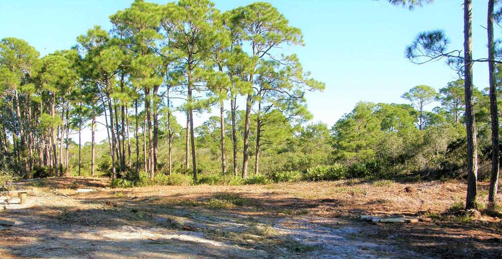 371 Bent Tree Rd, 32456