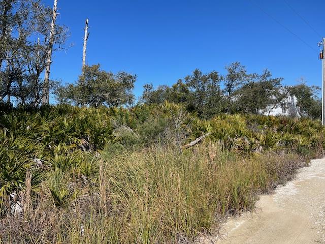 371 Bent Tree Rd, 32456
