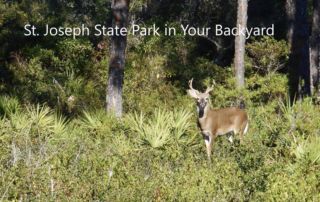 371 Bent Tree Rd, 32456