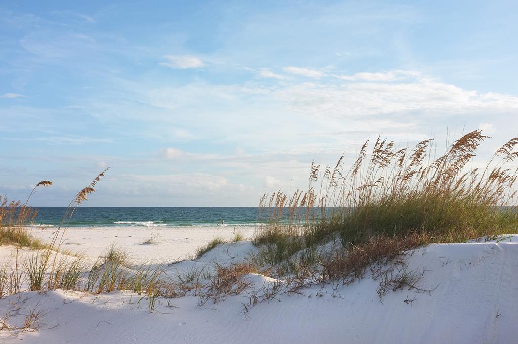 Lot 32 Las Palamas Ln, Port St. Joe 32456