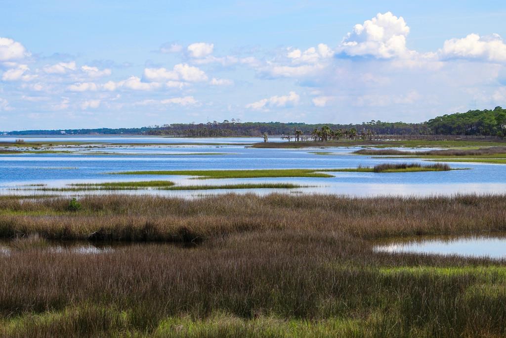 Lot 32 Las Palamas Ln, Port St. Joe 32456