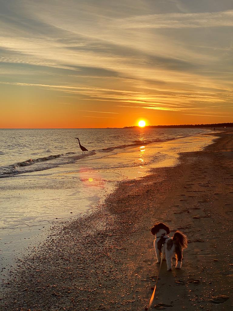 Lot 32 Las Palamas Ln, Port St. Joe 32456