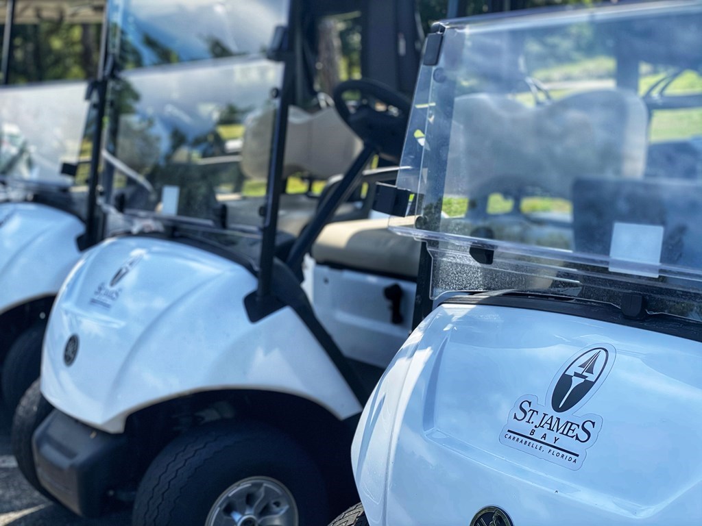 156 Skimmer Dr, 32322