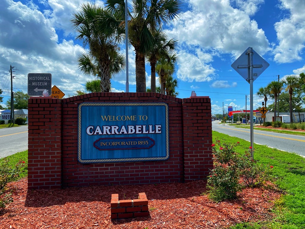 156 Skimmer Dr, 32322