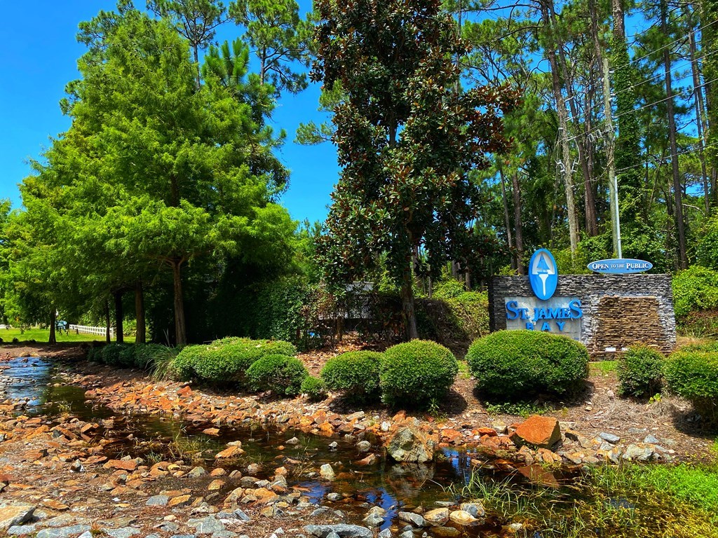 156 Skimmer Dr, 32322