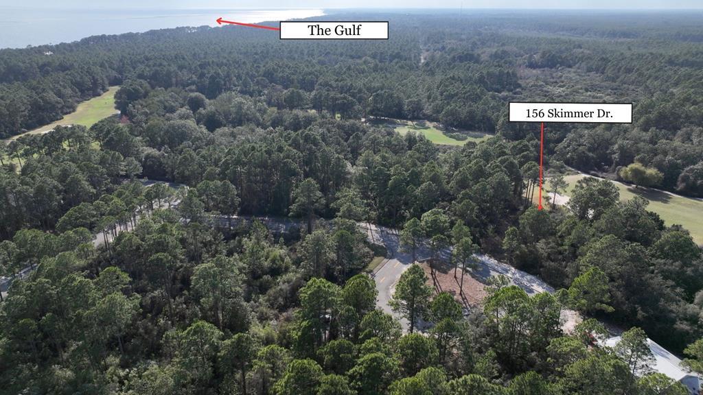 156 Skimmer Dr, 32322