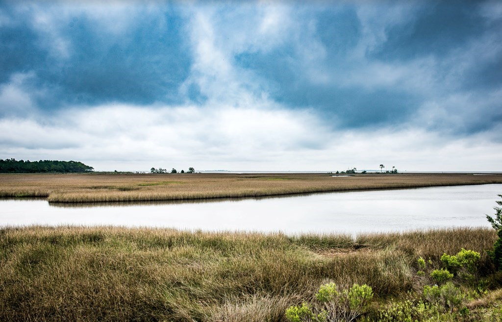 156 Skimmer Dr, 32322