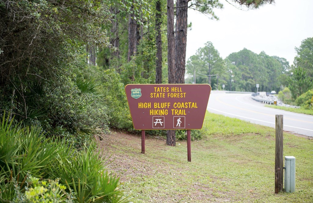 156 Skimmer Dr, 32322