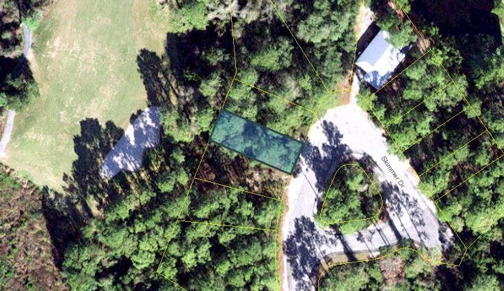 156 Skimmer Dr, 32322