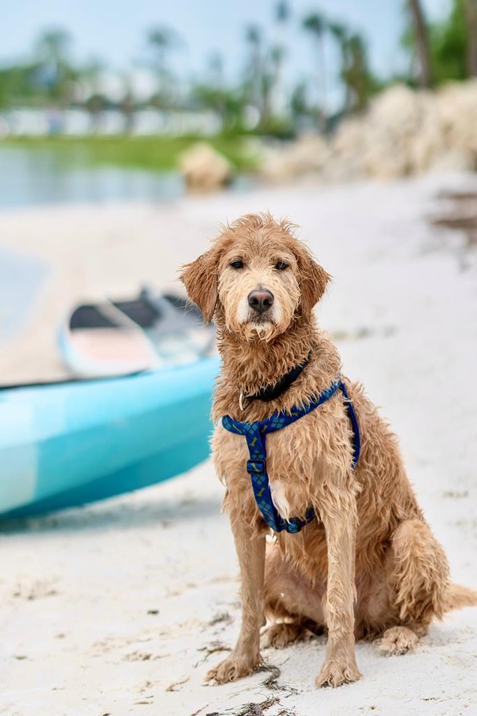 144 Canvas Ln, Port St. Joe 32456