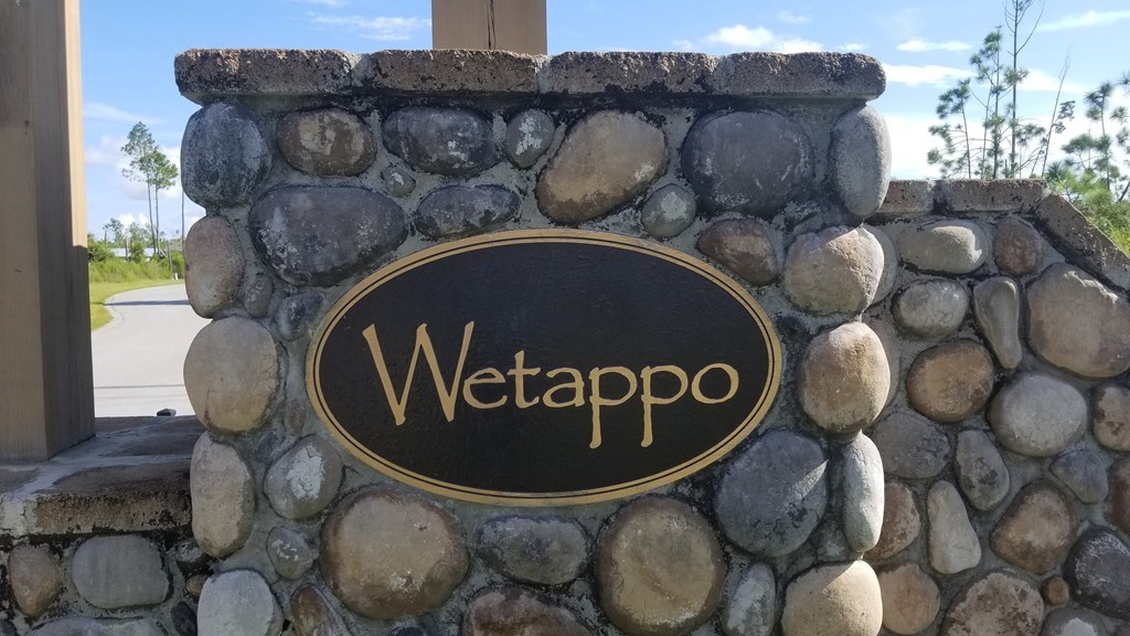 110 Wide Water Cir, 32465