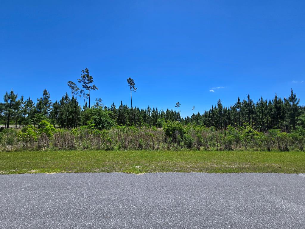 110 Wide Water Cir, 32465