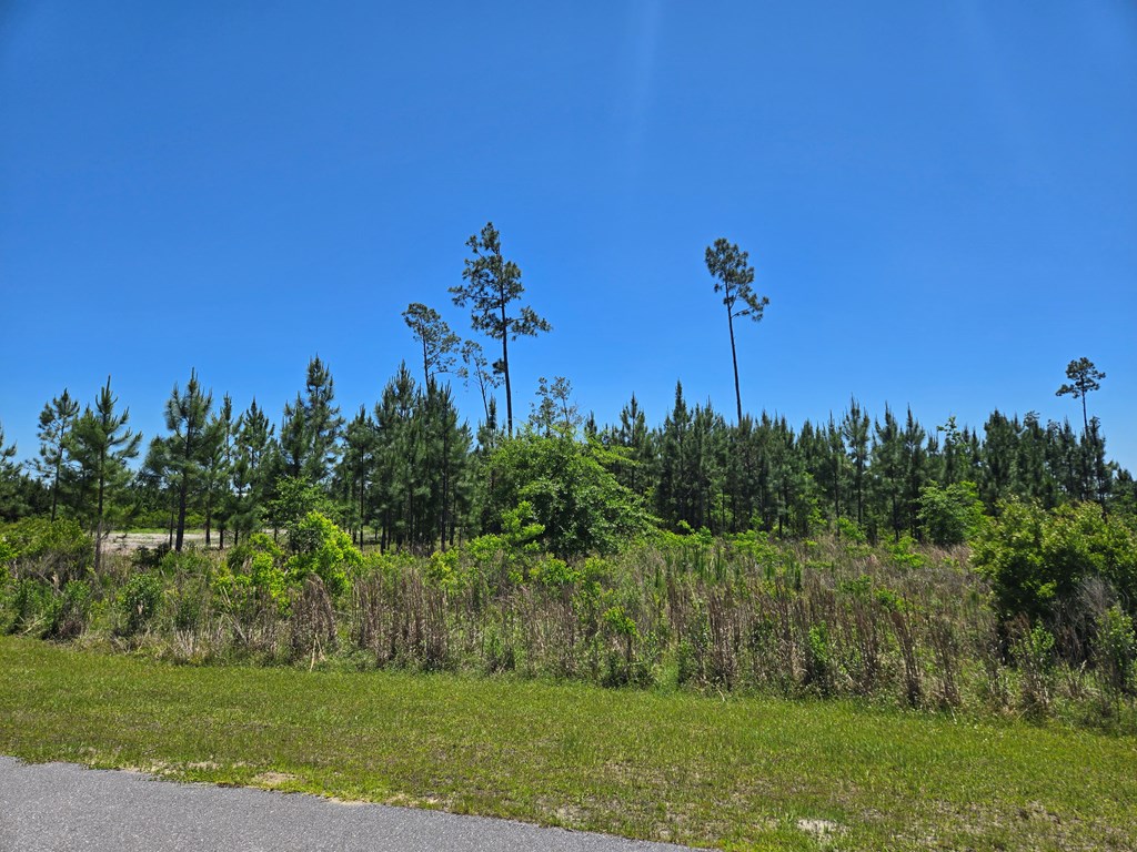 110 Wide Water Cir, 32465